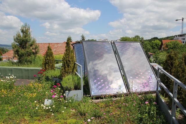 Acoperiș verde biosolar cu panouri solare
