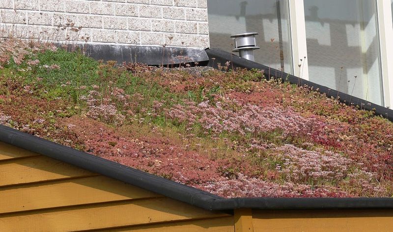 Ultralight extensive green roof