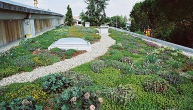 Garden green roof