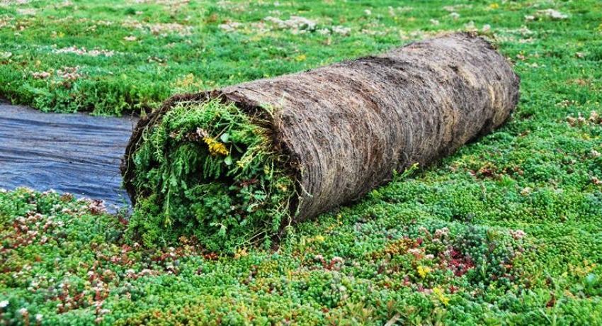 Instant greening with vegetation roll