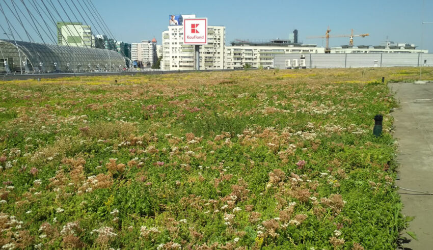 Extenzív zöldtető öntözőrendszerrel – 4.300 m² a Basarab híd környéke Bukarest