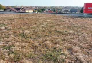 Acoperișul verde extensiv ușor - Penny Valu lui Traian