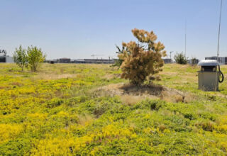 Acoperiș semiintensiv pe Kaufland București strada Turnu Măgurele