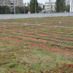 Extensive green roof for Kaufland in Bucharest – Aparatorii Patriei