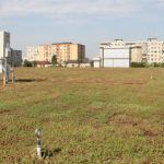 Extensive green roof for Kaufland in Bucharest – Aparatorii Patriei