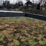 Acoperiș biosolar pentru o grădiniță nouă din Avrig