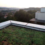 Extensive green roof on a residential building in Cluj-Napoca