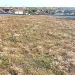 Lightweight extensive green roof – Penny Valu lui Traian