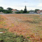 Lightweight extensive green roof – Penny Valu lui Traian