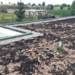 Green roof in Recea, near Făgăraș