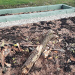 Green roof in Recea, near Făgăraș