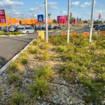 Zöldfelületek kialakítása a Hornbach Colentinánál