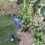 Inner courtyard landscaping