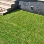 Inner courtyard landscaping