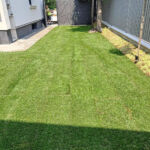 Inner courtyard landscaping