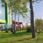 Autonom - an intensive park-type green roof