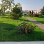 Autonom - an intensive park-type green roof