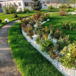 Autonom - an intensive park-type green roof