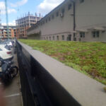 City of Mara 1 év után