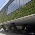 Green facade of succulent plants at City Park Mall Constanța