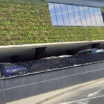 Green facade of succulent plants at City Park Mall Constanța