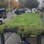 Fiecare petec de verdeață contează