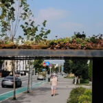 Fiecare petec de verdeață contează