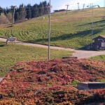 Acoperiș verde ultraușor de doar 70 kg pe mp - Lobogo resort Băile Homorod