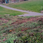 Acoperiș verde ultraușor de doar 70 kg pe mp - Lobogo resort Băile Homorod