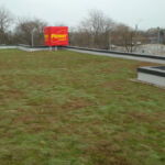 Extensive green roof on the Penny Agigea store