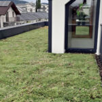 Sedum zöldtető – Beszterce