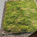 Green terrace in front of the window 3.6 m² – Ghimbav