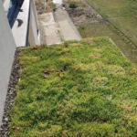 Green terrace in front of the window 3.6 m² – Ghimbav