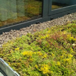 Green terrace in front of the window 3.6 m² – Ghimbav