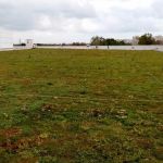 Terasă verde ultraușoară irigată de 2.900 mp pe un nou supermarket Kaufland din Constanța