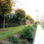 Intensive park-style rooftop terrace at the Vivido residential complex in Cluj-Napoca