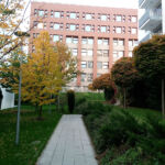Intensive park-style rooftop terrace at the Vivido residential complex in Cluj-Napoca