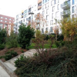 Intensive park-style rooftop terrace at the Vivido residential complex in Cluj-Napoca