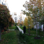 Intensive park-style rooftop terrace at the Vivido residential complex in Cluj-Napoca
