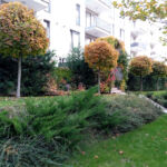 Intensive park-style rooftop terrace at the Vivido residential complex in Cluj-Napoca