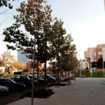 Intensive park-style rooftop terrace at the Vivido residential complex in Cluj-Napoca