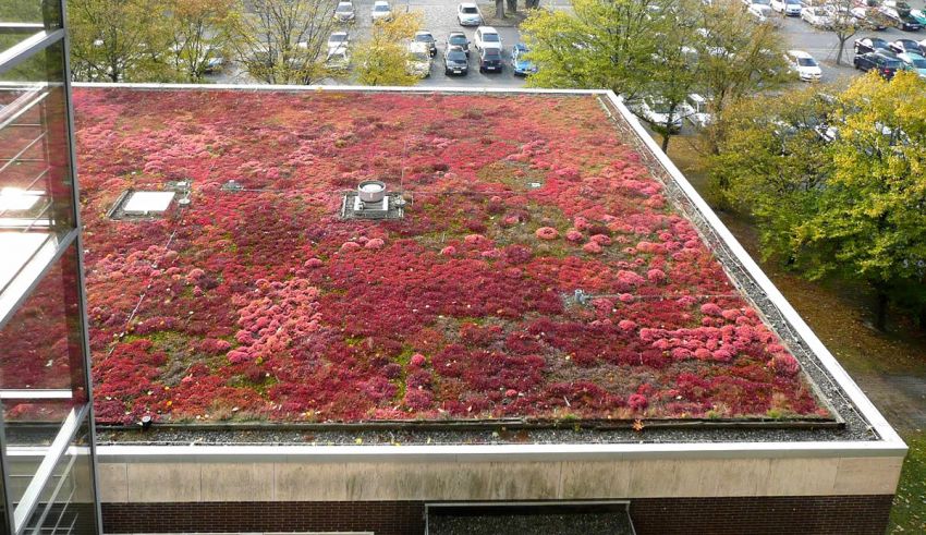 Cehia adoptă acoperișurile verzi