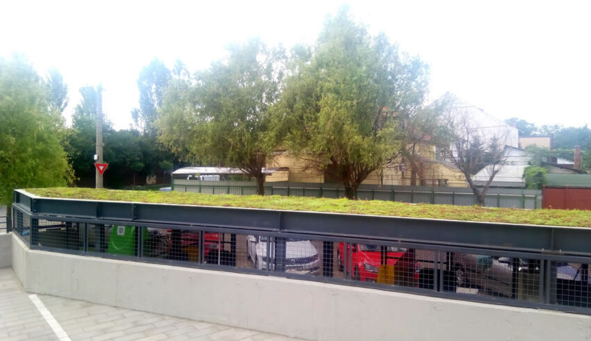 City of Mara after 1 year