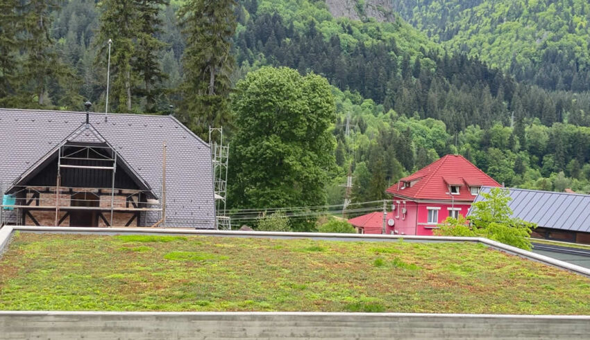 Acoperiș verde extensiv pe o sală de evenimente Băile Tușnad