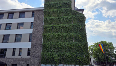 Green façade with planters and pre-grown ivy panels mounted on a robust metal structure that generously covers the building wall
