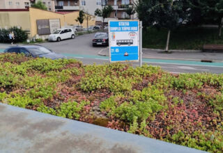 Minden zöld folt számít