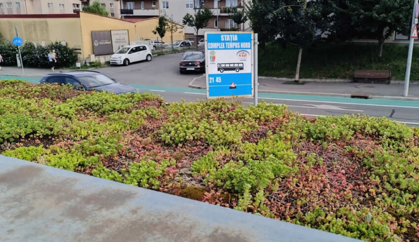 Minden zöld folt számít