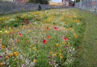 Biodiversitatea, care înseamnă multitudinea de forme de viață de pe Pământ, joacă un rol esențial în menținerea echilibrului ecologic