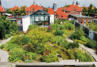 Înverzirea spațiilor urbane prin soluții inovatoare