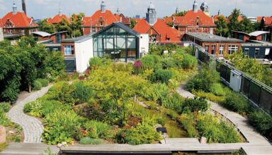 Înverzirea spațiilor urbane prin soluții inovatoare